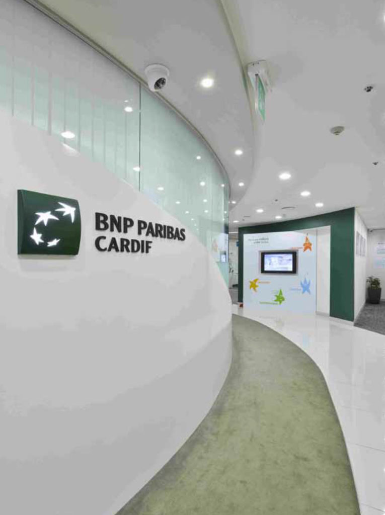 BNP Paribas Cardif 2013