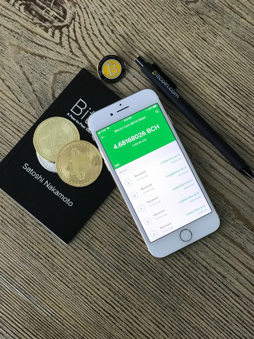 Bitcoin wallet by David Shares, Unsplash, free of charge
