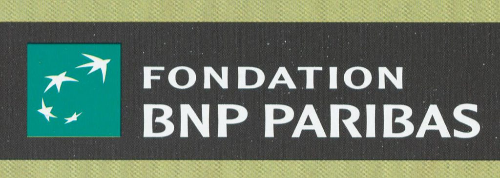 Le logo Fondation BNP Paribas est composé du logo de la courbe d'envol à gauche et les termes Fondation BNP Paribas à droite.