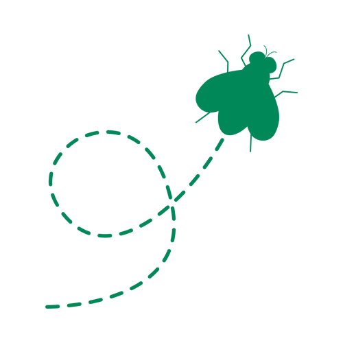 Mouche Verte