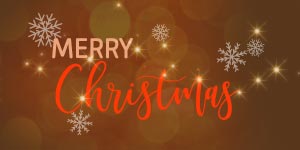 Plant&eacute; de baton !