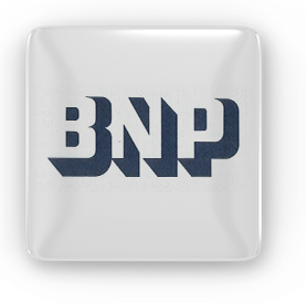 Logobnp 3d
