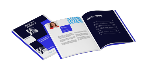 Visuel Livre Blanc2
